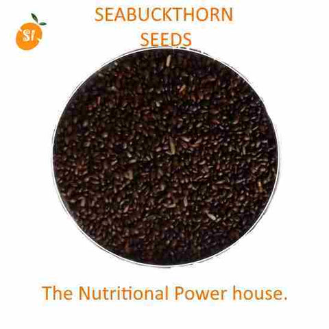 Sea Buckthorn Seed