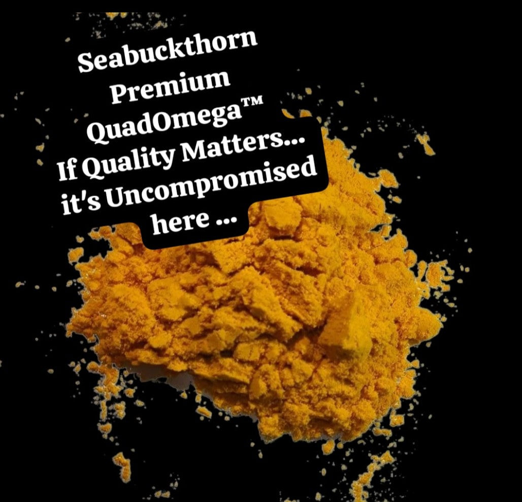 Seabuckthorn "The Himalayan Berry" Premium Powder