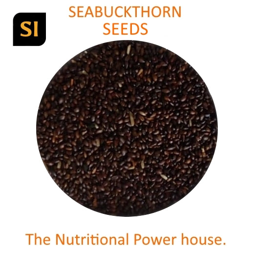 Sea Buckthorn Seed